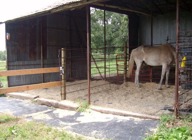 Horse Lean to Shed Plans