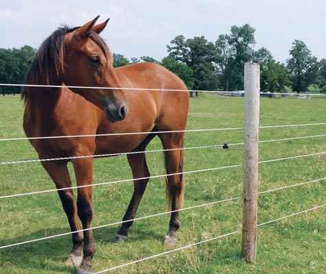 HOW TO INSTALL AN ELECTRIC FENCE FOR HORSE PASTURES | EHOW