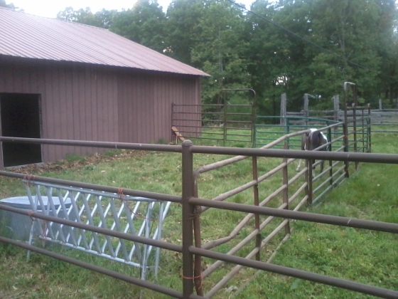 2 Stall Horse Barn Plans