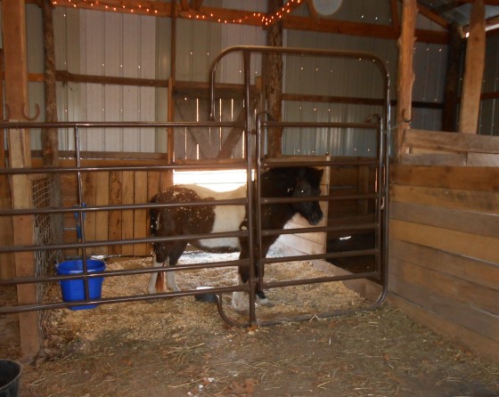 Horse Stall Barn Plans